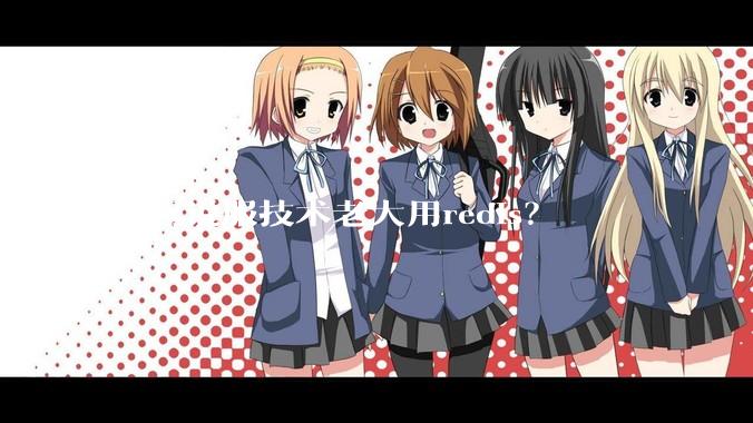 如何说服技术老大用redis？