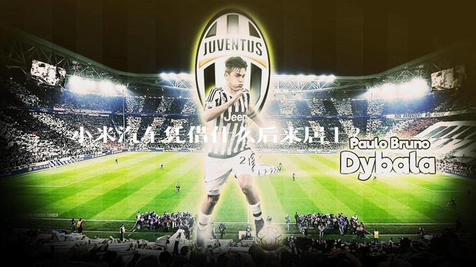 小米汽车凭借什么后来居上？