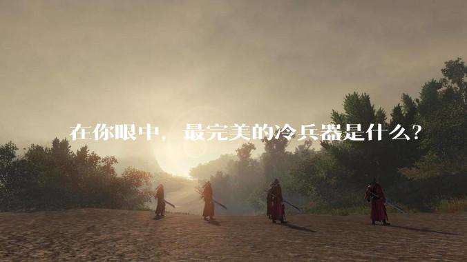 在你眼中，最完美的冷兵器是什么？