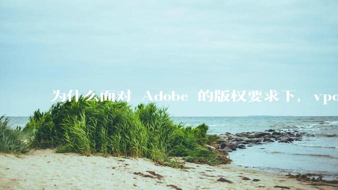 为什么面对 Adobe 的版权要求下，vposy 大神还能从容不迫？