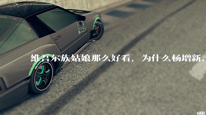 维吾尔族姑娘那么好看，为什么杨增新、金树仁、盛世才这些新疆皇帝不纳维族妾？