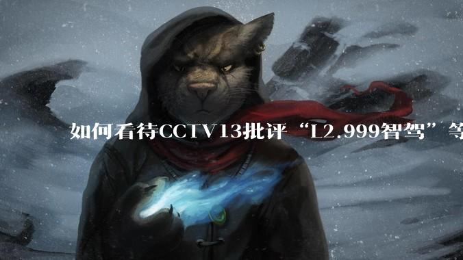 如何看待CCTV13批评“L2.999智驾”等误导性宣传，若导致事故车企可能需要担责？