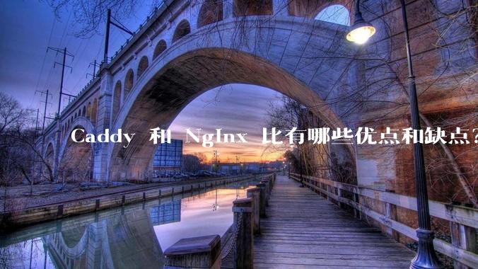 Caddy 和 Nginx 比有哪些优点和缺点？