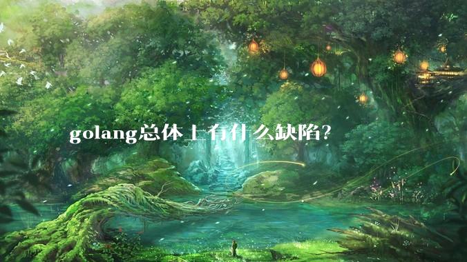 golang总体上有什么缺陷？