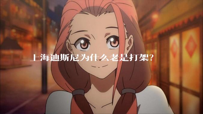 上海迪斯尼为什么老是打架？