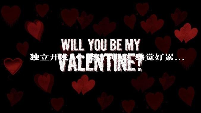 独立开发***能盈利吗？感觉好累...