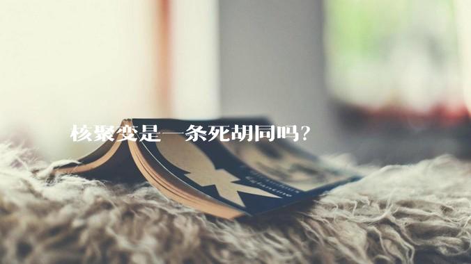 核聚变是一条死胡同吗？