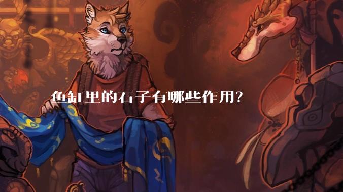 鱼缸里的石子有哪些作用？