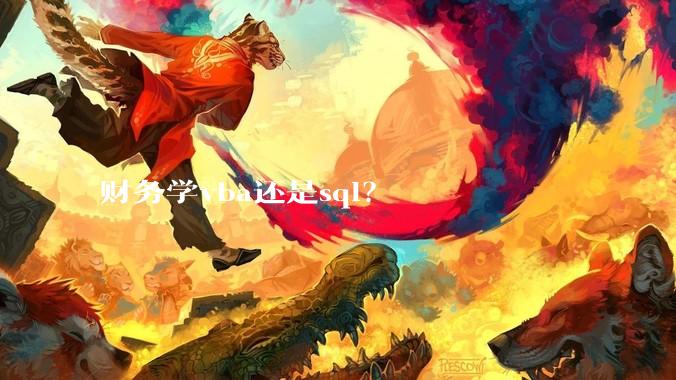 财务学vba还是sql？