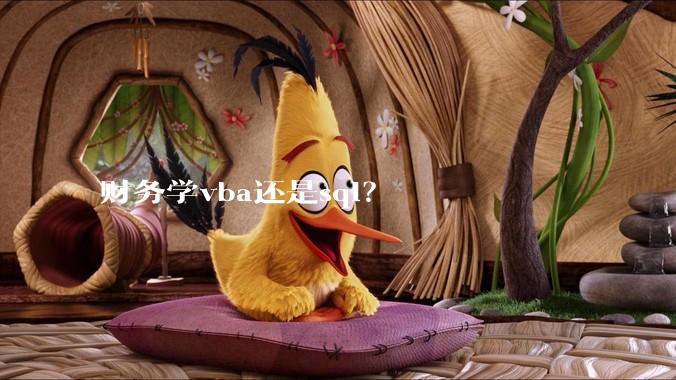 财务学vba还是sql？