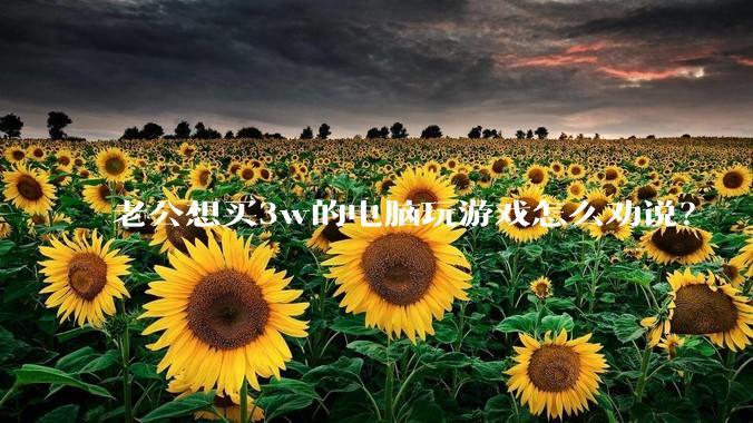 老公想买3w的电脑玩游戏怎么劝说？