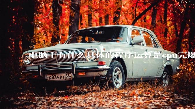 电脑上有什么具体的程序运算是cpu完爆gpu的？